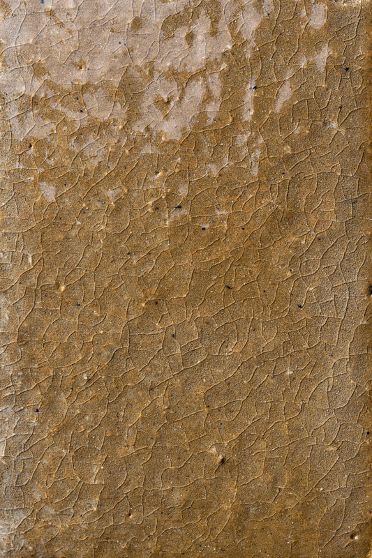 Hopscotch Ochre 6